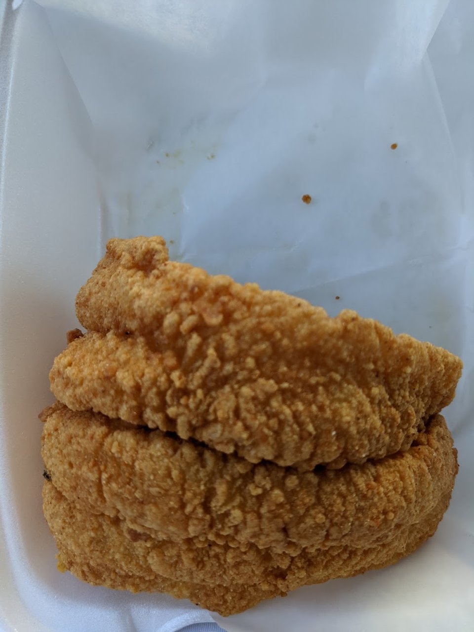 Catfish Fillet