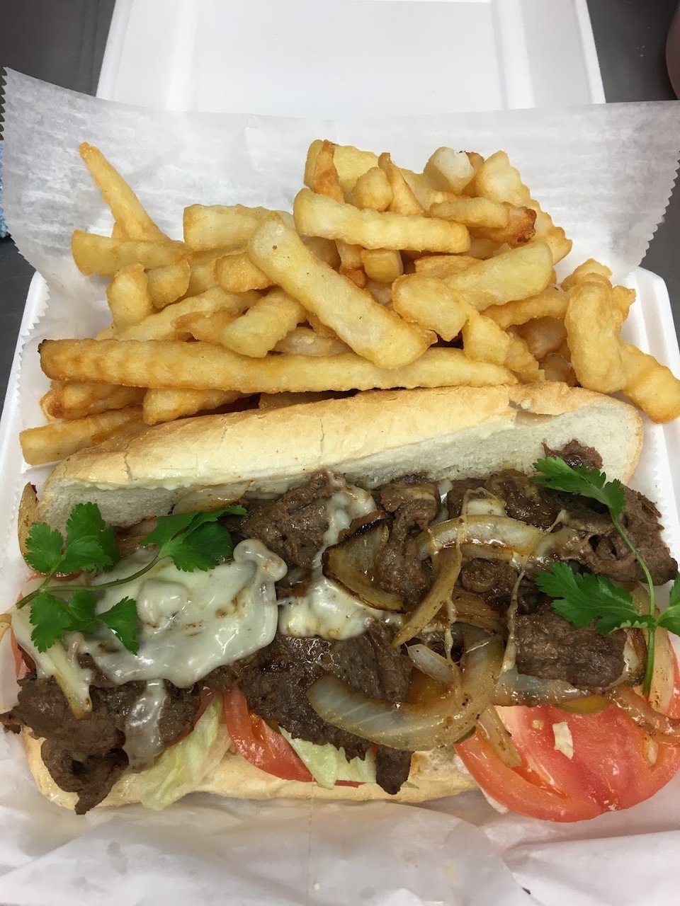 Steak and Cheese with Fries